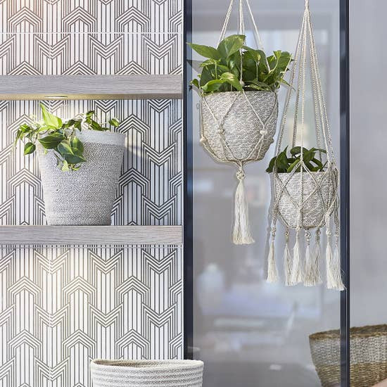 Plant Hanger - Bitan