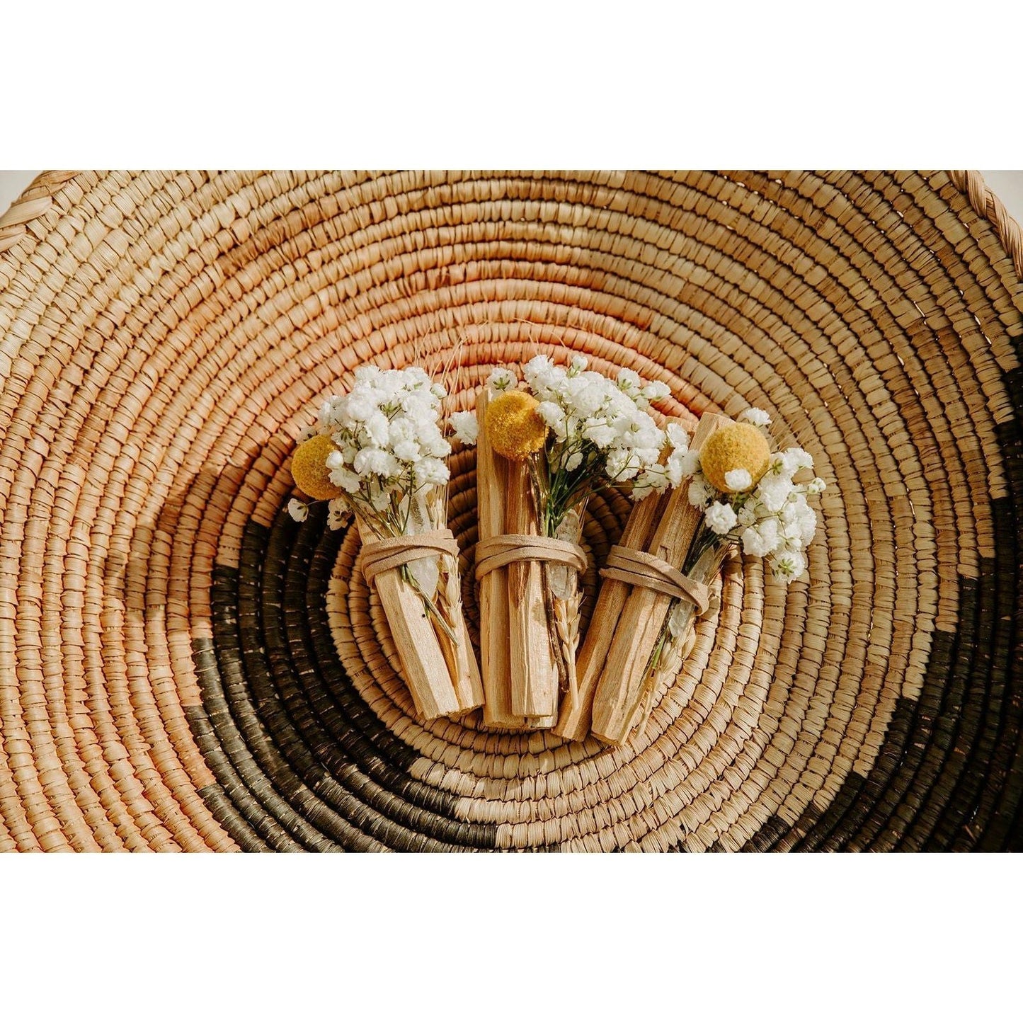 Ecuadorian Palo Santo + Quartz Crystal Bundle
